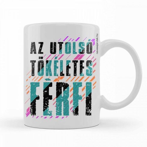 Bögre - Az utolsó tökéletes férfi