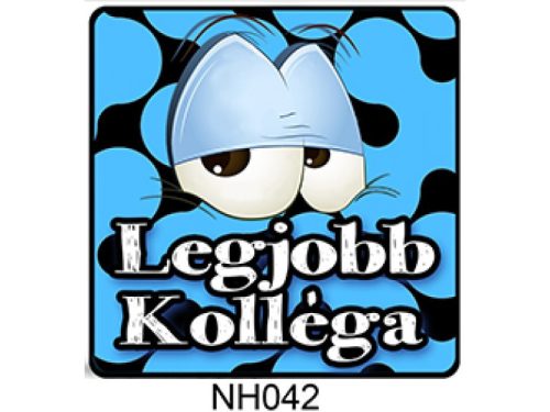 Hűtőmágnes - Legjobb kolléga!